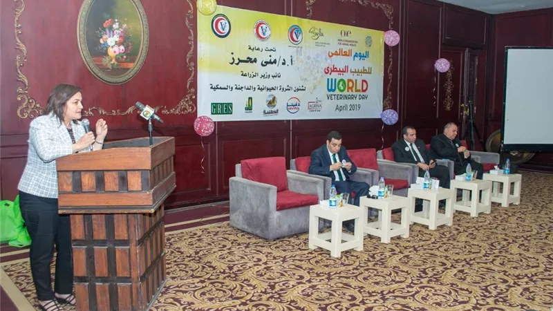 سياسي أردني: سقوط 