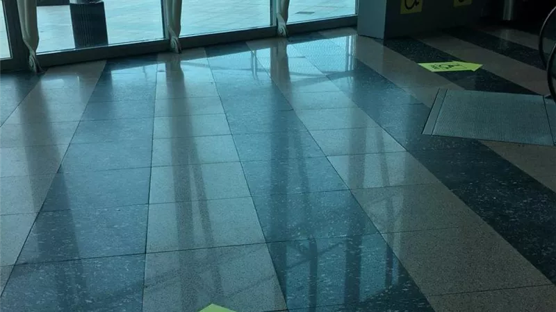 بالصور.. 