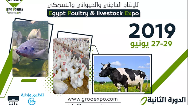 الدورة الثانية لمعرض ابلكس تناقش ربط حلقات صناعة الإنتاج الحيوانى والداجنى