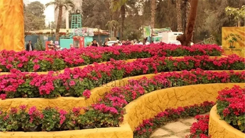 أبوستيت يكرم المشاركين في معرض زهور الربيع.. غدًا