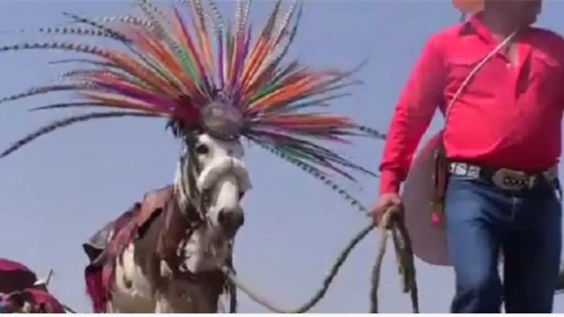 يوم فى المكسيك احتفالاً بالحمير