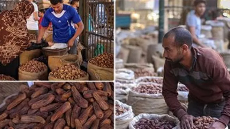 بصيرة: الياميش في متناول الجميع.. واسعار البلح بين 20 و60 جنيه للكيلوجرام