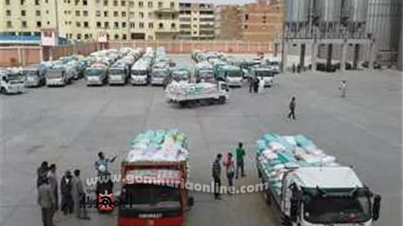 توريد 3و1 مليون اردب من الذهب الاصفر لصوامع وشون الشرقية