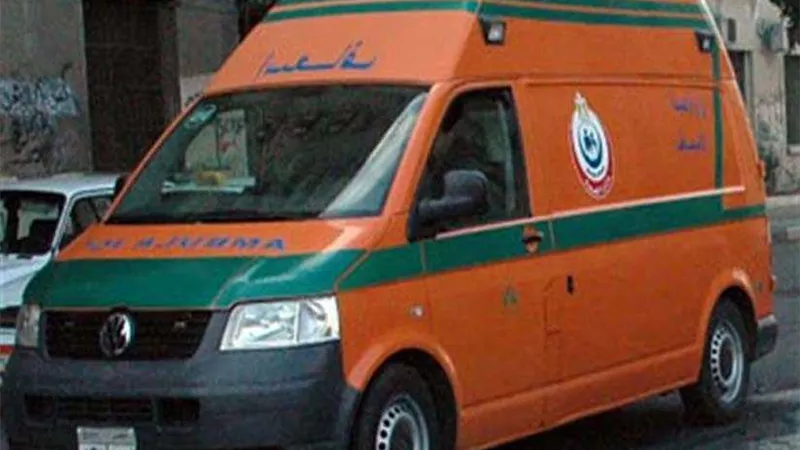 اصابة 3 أشخاص بطلقات خرطوش في مشاجرة بالبحيرة