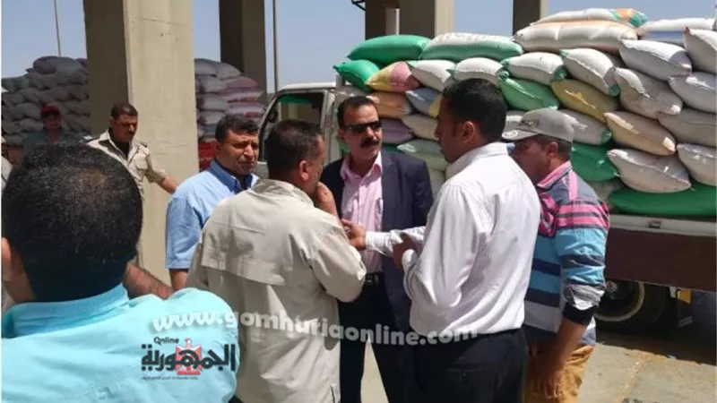 توريد 39971 طن قمح بمطاحن وشون كفرالشيخ