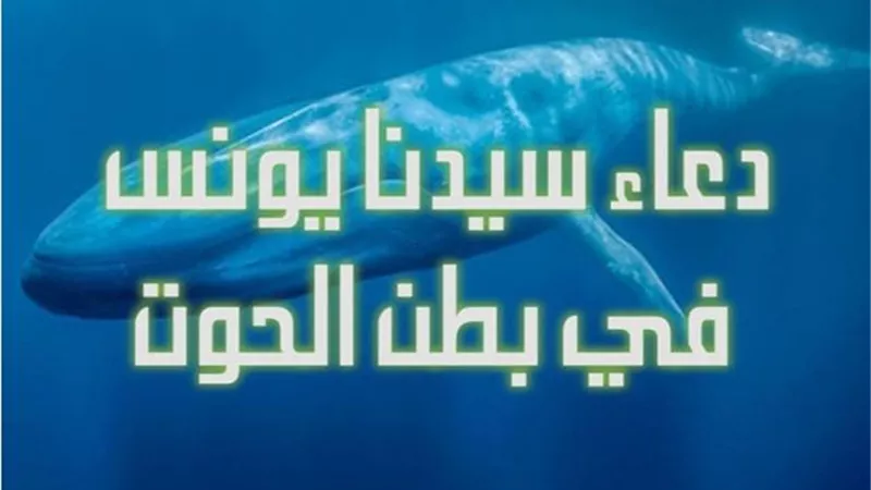 من قصص الانبياء.. نبى الله يونس حى يرزق فى بطن الحوت