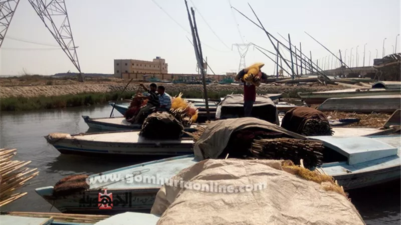 البرلس تدخل مرحلة التطوير الثالثة ب255 مليون جنية