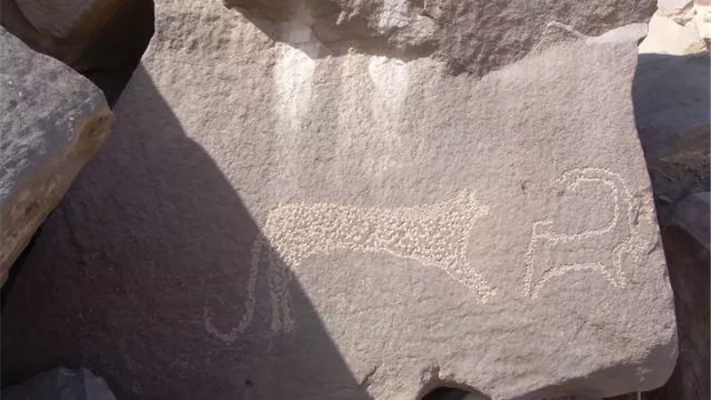 الآثار: العثور على أوائل النقوش الملكية فى الصحراء الشرقيه بأسوان.. صور