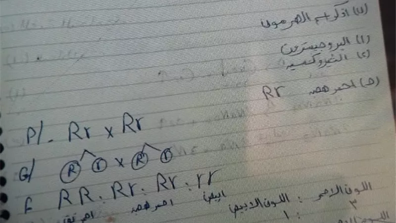 تسريب إمتحانات الإعدادية بالمنوفية .. تداول أسئلة العلوم وإجابتها قبل بدء اللجان