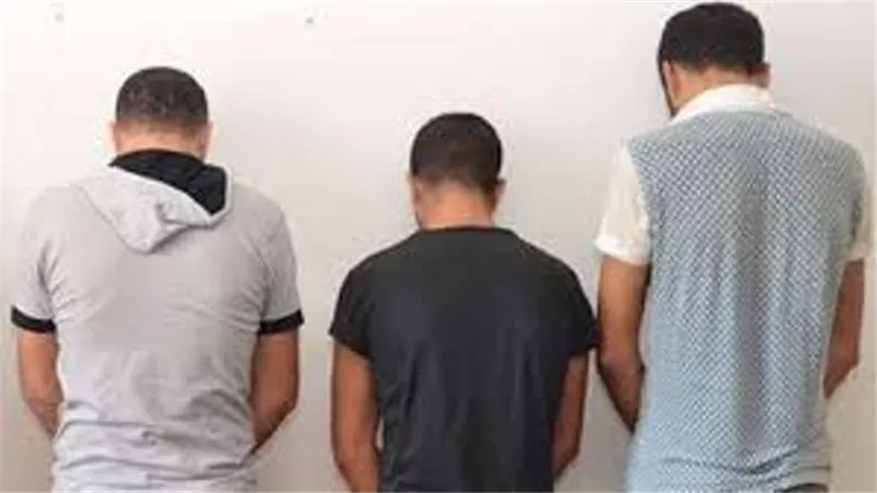 نيابة طنطا تخلى سبيل المتهمين بتعذيب قطة بكفالة 1000جنيه لكل متهم