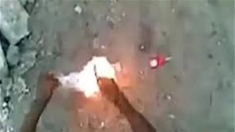 القبض على شاب يشعل النار في قطة بعد دهسها بالسيارة