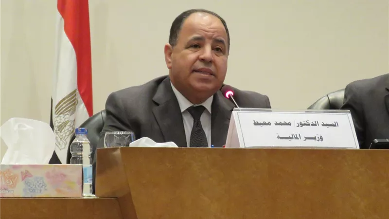 وزير المالية: الانتهاء من أعمال تطوير المصالح الإيرادية للدولة قبل يونيو 2020
