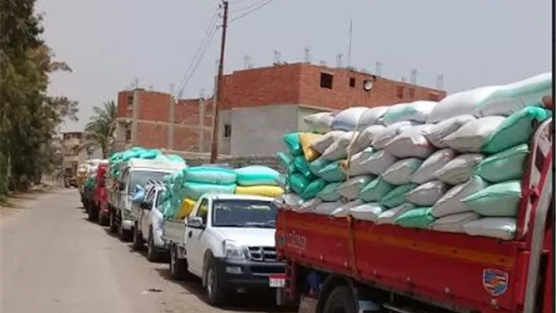 توريد 2 مليون و381 الف اردبا من القمح لصوامع وشون الشرقية