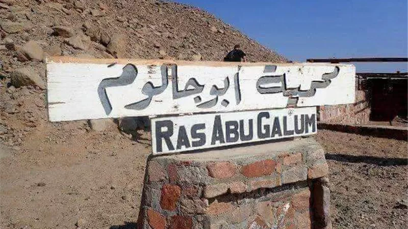 محمية أبو جالوم بجنوب سيناء .. تعرف علي جمال الطبيعة