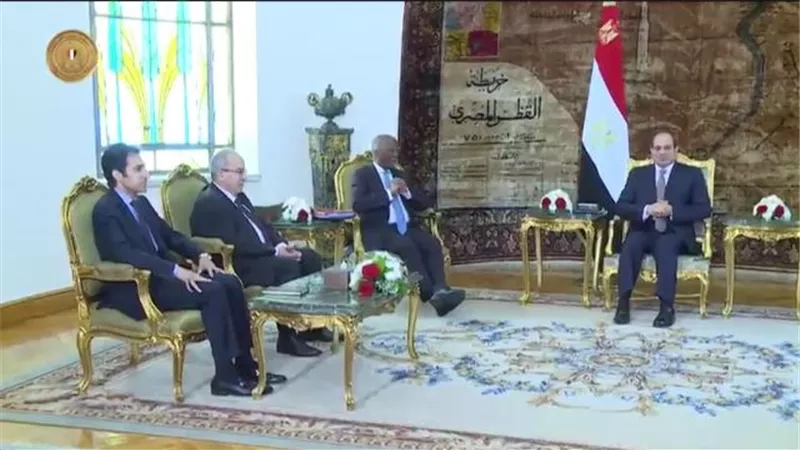 السيسي يستعرض الجهود المصرية لدعم استعادة الامن والاستقرار في عدد من الدول الافريقية الشقيقة.. فيديو