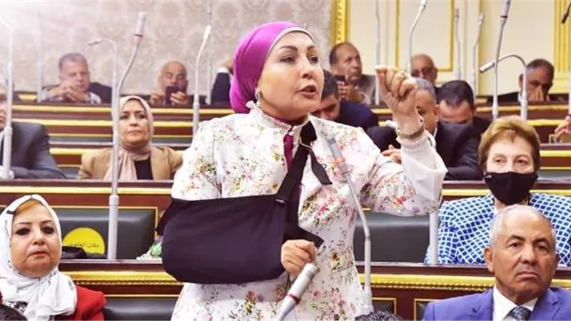 النائبة هاله أبوالسعد: مطلوب دعم المشروعات المتوسطة والصغيرة والبسطاء من محدودى الدخل