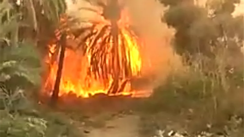 السيطرة على حريق مزرعة نخيل 