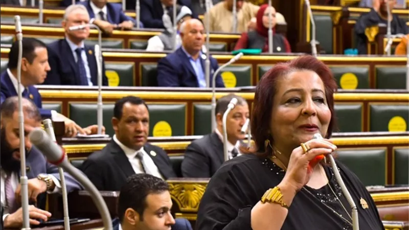 تفاصيل إصدار قانون إنشاء صندوق دعم الأشخاص ذوي الإعاقة