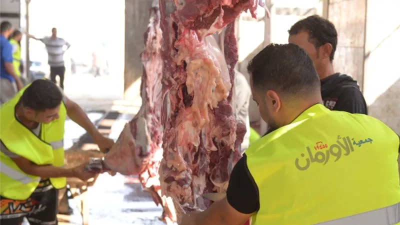 الأورمان ترفع درجة الاستعداد لاستقبال عيد الأضحى.. ذبح 45 عجل بلدى وتوزيعهم بالمجان