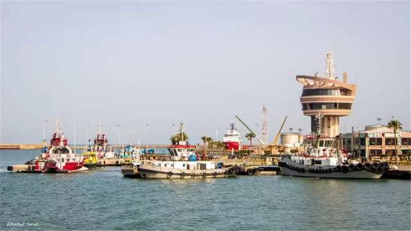 ٢٧ سفينة و ٤٥١٩ شاحنة على أرصفة ميناء دمياط