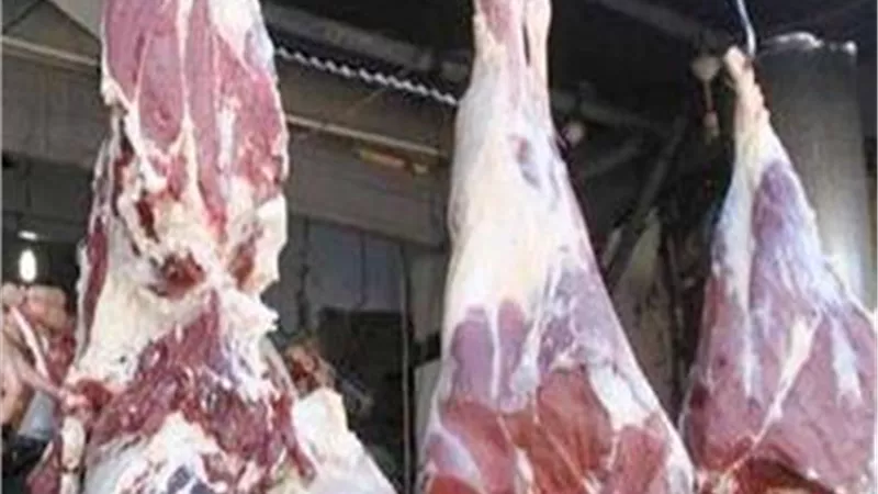 أبرزها لحوم فاسدة.. التموين: ضبط 1556 قضية متنوعة خلال 24 ساعة