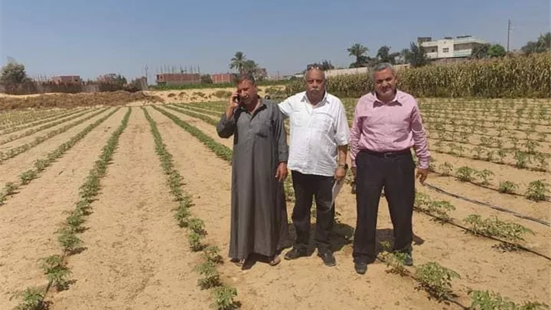 مشروع تقاوي الخضر بالإسماعيلية حقق متطلبات المزارع وذوق المستهلك..صور