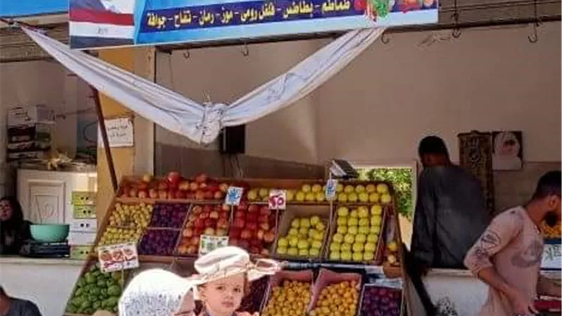 محافظ البحر الاحمر يرفع درجة الاستعداد لاستقبال عيد الاضحى وفتح المجازر للمضحين مجانا
