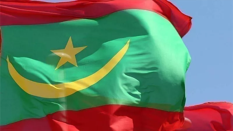 موريتانيا تفوز بعضوية اللجنة الحكومية الدولية لحماية التراث