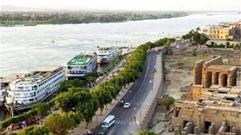 الأقصر تطرح مزايدة علنية لبيع تمور النخيل