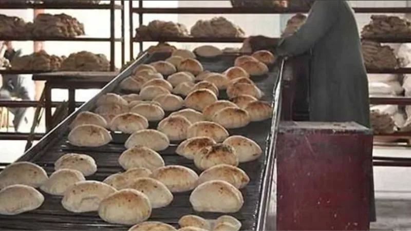 انتظام عمل المخابز البلدية أيام عيد الأضحى