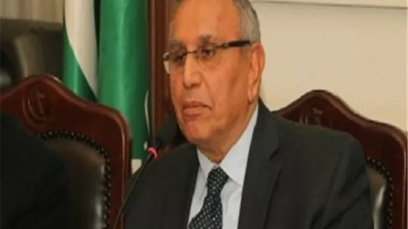 رئيس حزب الوفد: العفو الرئاسي منصوص عليه في الدستور والرئيس السيسي وجّه بدراسة المقتضيات والظروف