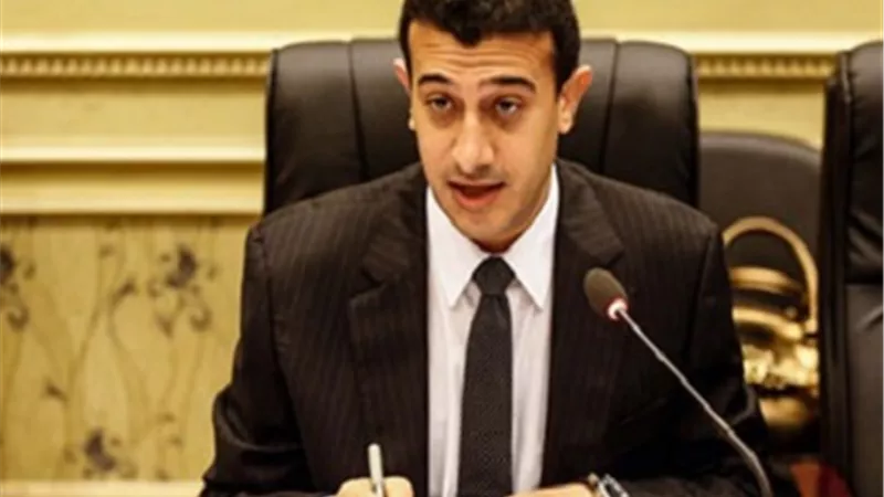 عضو لجنة العفو الرئاسي: لن نعمل على خروج كل من يمثل تهديدًا للأمن القومي المصري