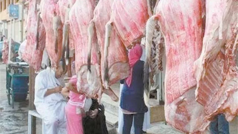 أسعار اللحوم .. تريند اليوم