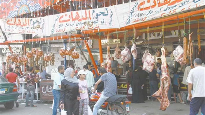 ارتفاع أسعار الأضاحي.. مذبوح وصاحي!