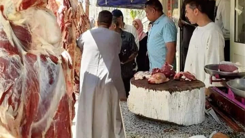 إعدام طن وربع لحوم ومجمدات غير صالحة للاستهلاك الآدمي بسوهاج..صور