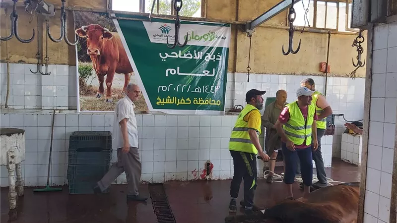 الاورمان : ذبح وتوزيع ٢١٠ اضحيه على اهالي كفر الشيخ