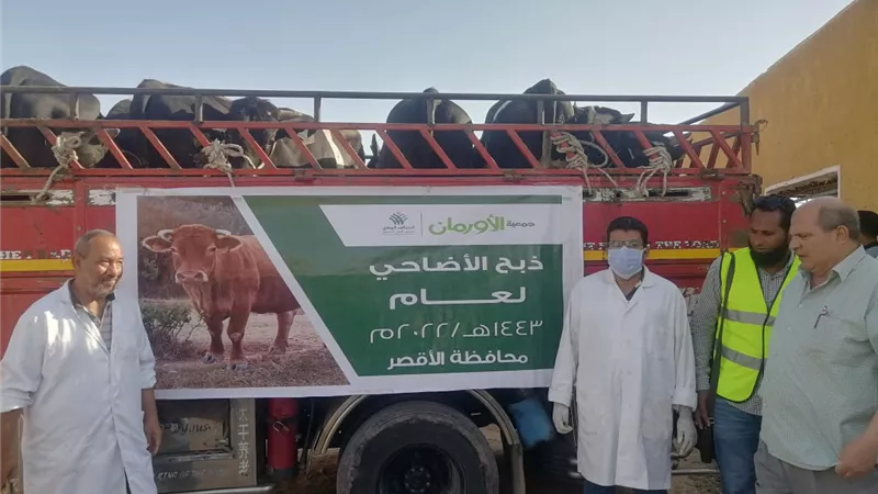الأورمان تواصل ذبح وتوزيع لحوم أضاحيها على الأسر الأولى بالرعاية بمحافظة الأقصر