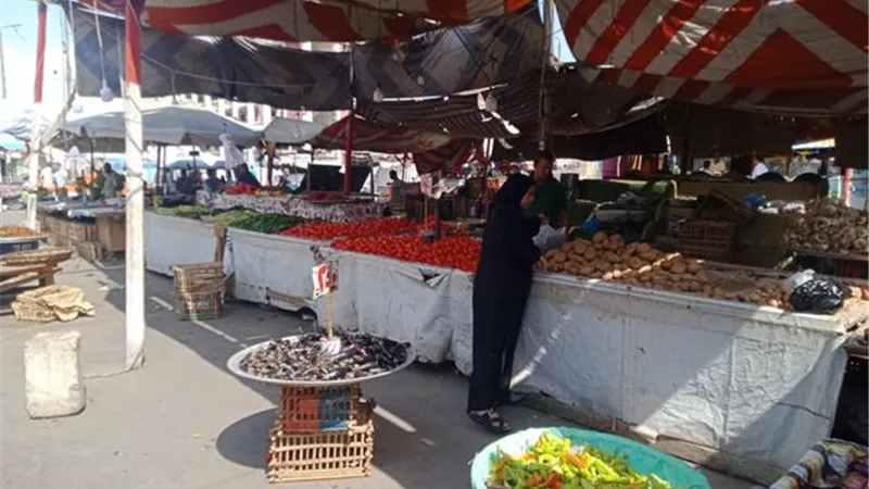 توافر السلع بأسواق الإسماعيلية وخط ساخن للشكاوى..صور