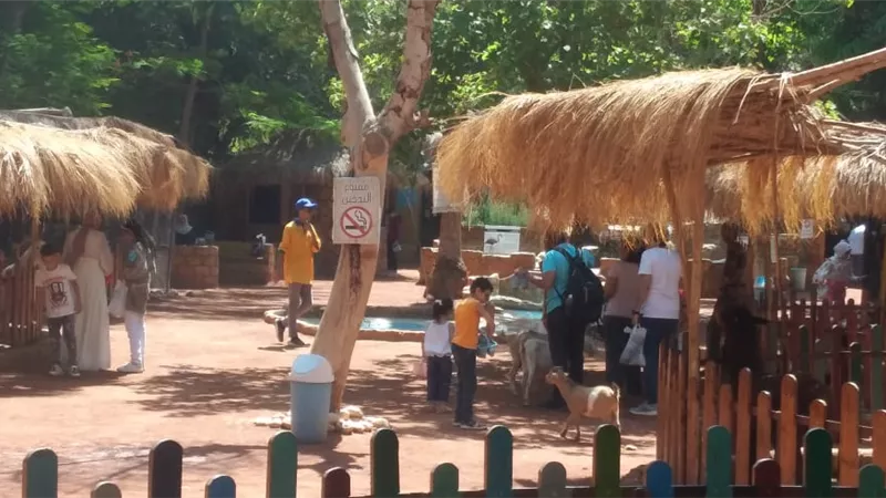 الزراعة: ٢٥ ألف زائر تستقبلهم حديقة الحيوان و٦٥٠٠ رأس ماشية بالمجازر الحكومية