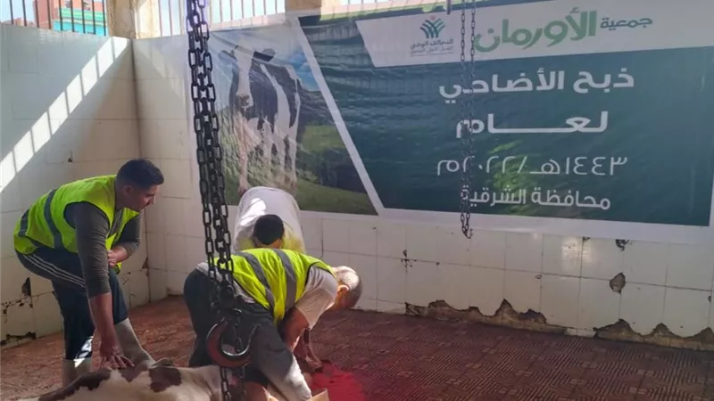 في اخر ايام التشريق.. الانتهاء من ذبح وتوزيع لحوم الأضاحي في ٣٥ قرية بالشرقية