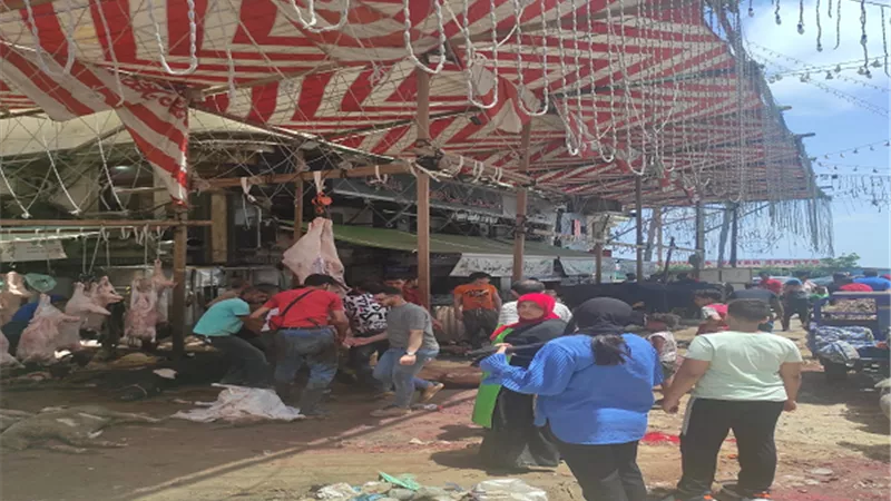 258 محضر مخالفة بيئية لمحال الجزارة والشوادر والمنشآت العامة بالاسكندريه