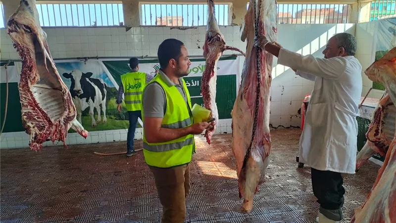 الأورمان توزع لحوم الاضاحى على قرى بني حسن وحبشى وشرابية بالشرقية
