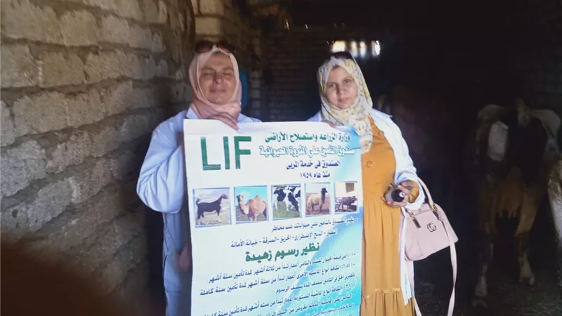 إنطلاق الحملة القومية لتحصين الثروة الحيوانية بالشرقية