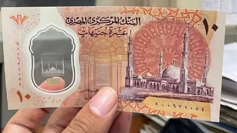 القومي للإعاقة يطالب المركزي تهيئة العملات الورقية الجديدة لذوي الإعاقة البصرية