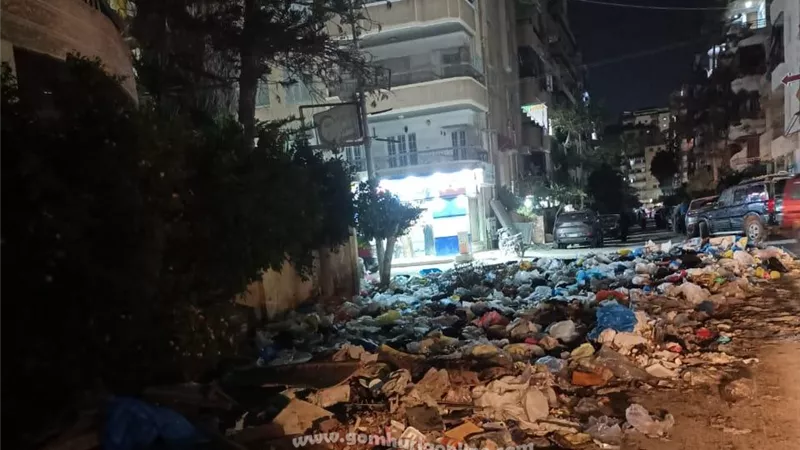القمامة كارثة بيئية تهدد النخيل بالعجمى