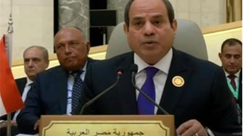 الرئيس السيسي يؤكد أهمية صياغة رؤية مشتركة لمواجهة ظاهرة تغير المناخ