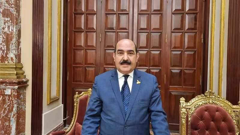 عضو خارجية الشيوخ: كلمة الرئيس السيسي في قمة جدة تُعد بمثابة خارطة طريق لحل مشاكل المنطقة