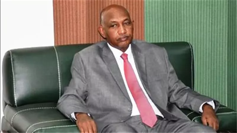 النائب العام السوداني يُشكل لجنة تحقيق في أحداث النيل الأزرق