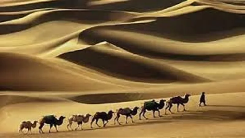 التقويم الاسلامى لماذا لم يعتمد ابتداءاً بنزول الوحى وليس بهجرة الرسول