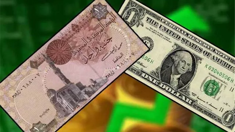 الدولار يحافظ على استقراره مقابل الجنيه المصري.. وارتفاع اليورو والإسترليني